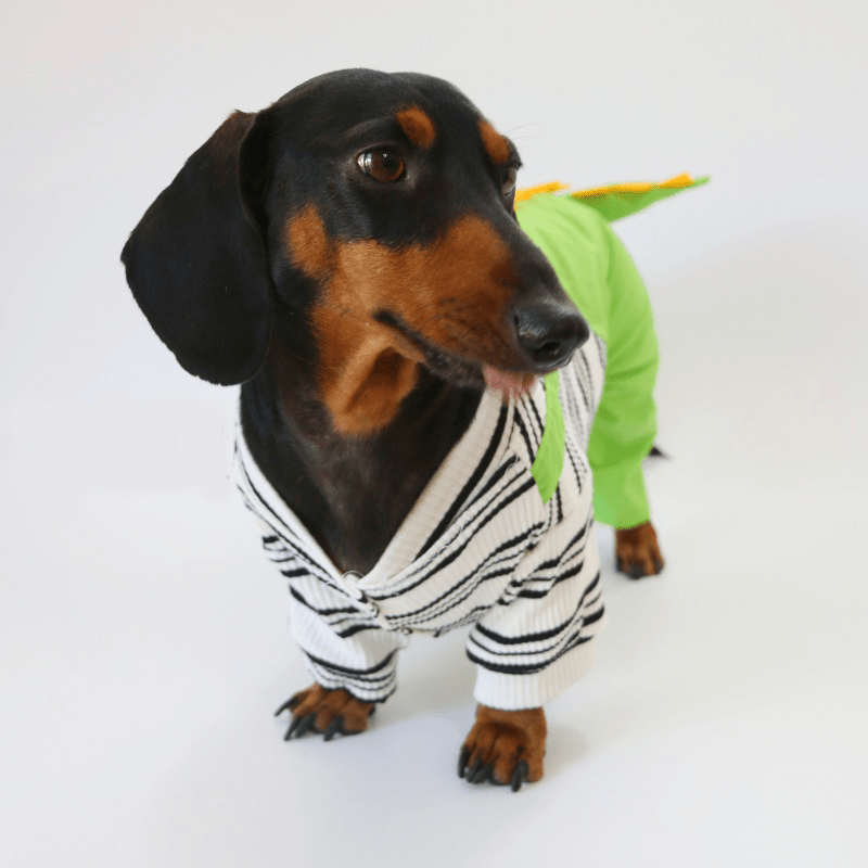 Dachshund Clothes Dog Onesies Dinosaur Suits 4Legs Cover - PIKAPIKA
