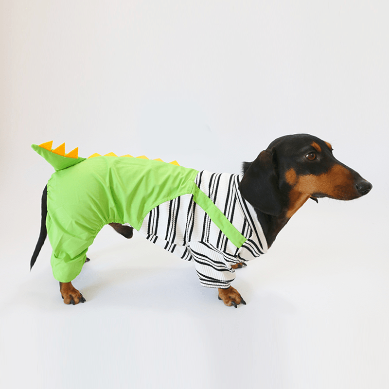 Dachshund Clothes Dog Onesies Dinosaur Suits 4Legs Cover - PIKAPIKA