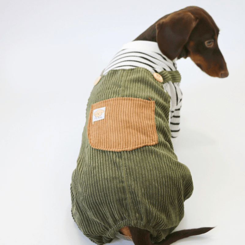 Dachshund Clothes Dog Onesies Two - in - one Overalls - PIKAPIKA