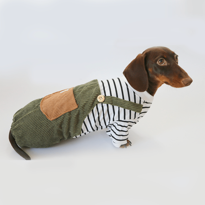 Dachshund Clothes Dog Onesies Two - in - one Overalls - PIKAPIKA