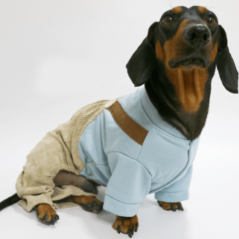 Dachshund Clothes Dog Onesies Two - in - one Overalls Blue - PIKAPIKA