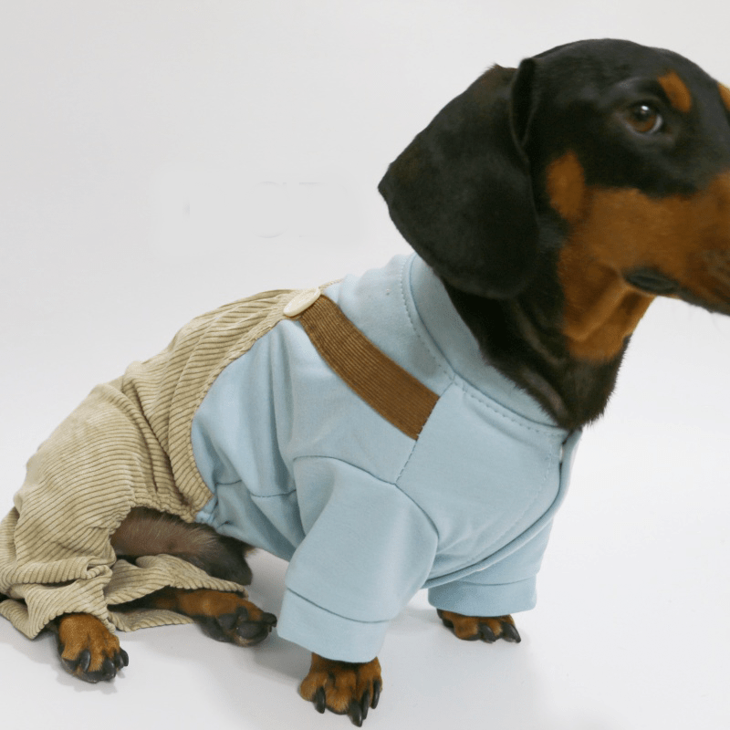 Dachshund Clothes Dog Onesies Two - in - one Overalls Blue - PIKAPIKA