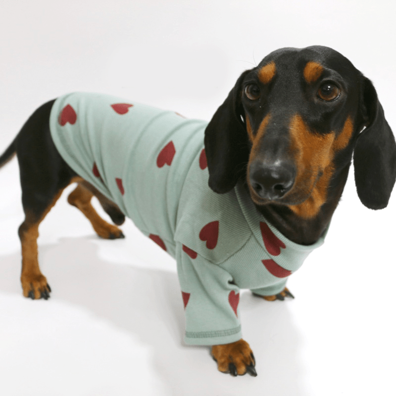 Dachshund Clothes Dog Shirt Soft Knit Wear Love Heart - PIKAPIKA