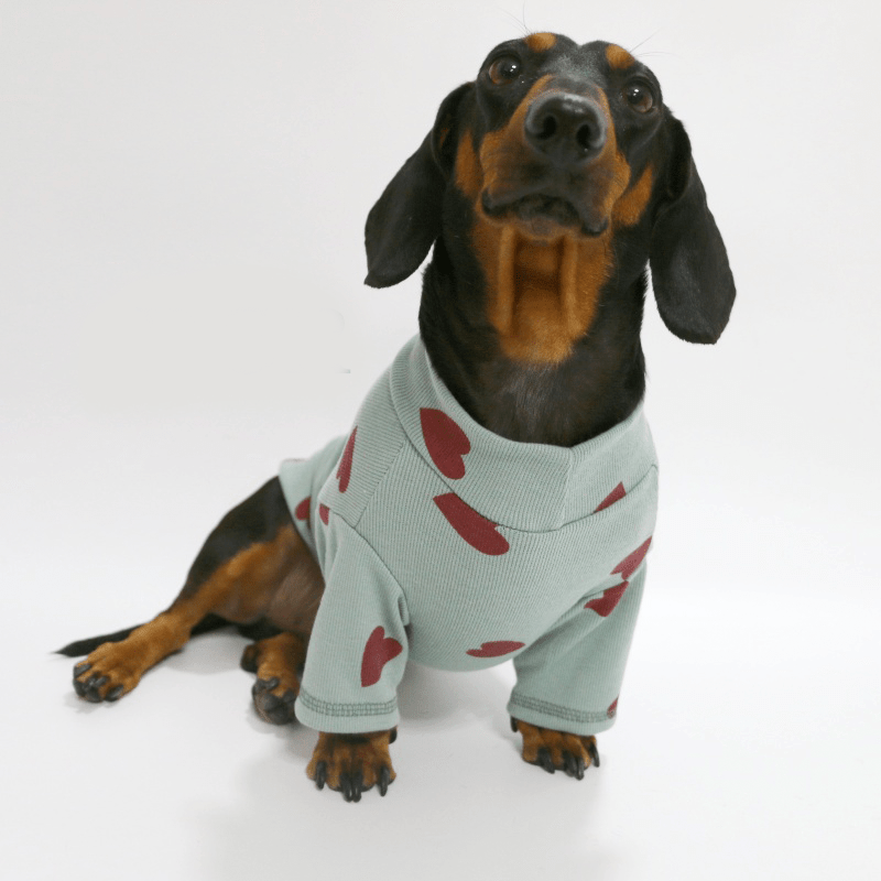 Dachshund Clothes Dog Shirt Soft Knit Wear Love Heart - PIKAPIKA
