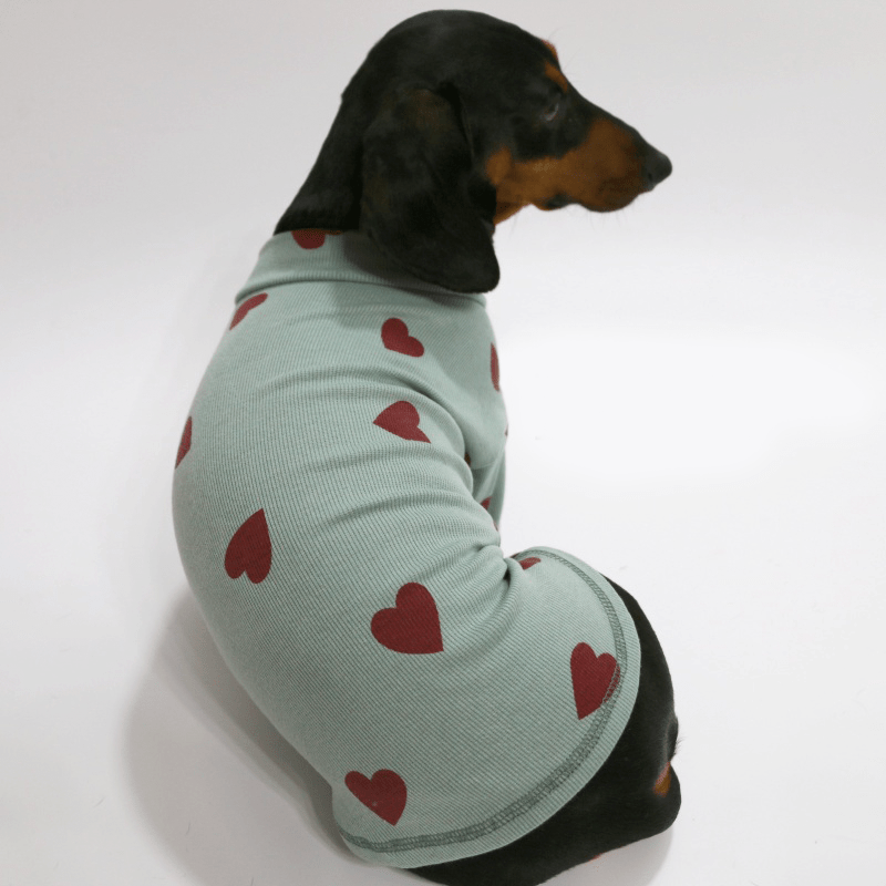 Dachshund Clothes Dog Shirt Soft Knit Wear Love Heart - PIKAPIKA