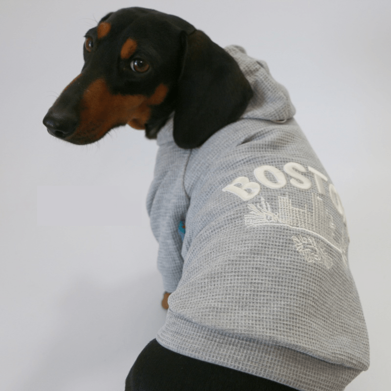 Dachshund Clothes Dog Spring Casual Hoodie Button Jacket - PIKAPIKA