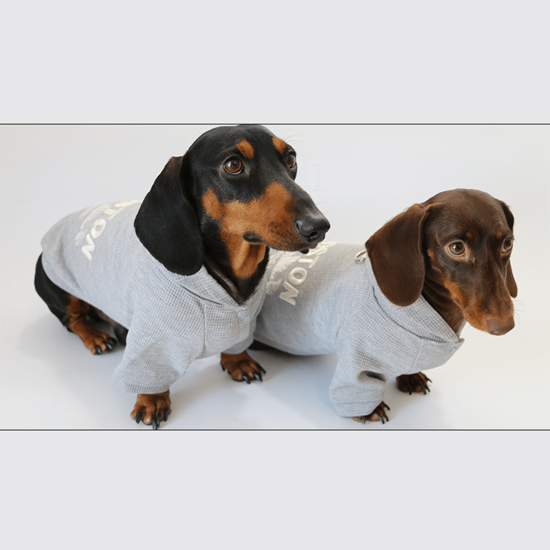 Dachshund Clothes Dog Spring Casual Hoodie Button Jacket - PIKAPIKA