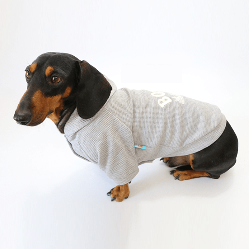Dachshund Clothes Dog Spring Casual Hoodie Button Jacket - PIKAPIKA