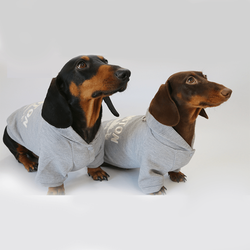 Dachshund Clothes Dog Spring Casual Hoodie Button Jacket - PIKAPIKA