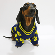Dachshund Clothes Dog Sweater Cable Knit Baseball Graphic Crewneck - PIKAPIKA