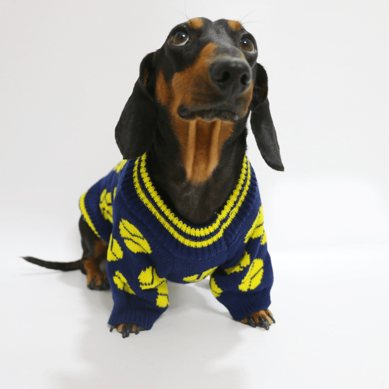 Dachshund Clothes Dog Sweater Cable Knit Baseball Graphic Crewneck - PIKAPIKA