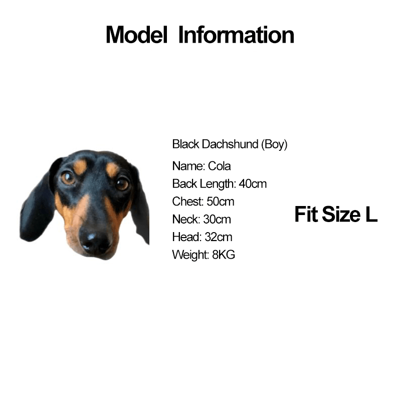 Dachshund Clothes Dog Sweater Cable Knit Baseball Graphic Crewneck - PIKAPIKA