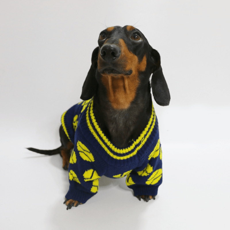 Dachshund Clothes Dog Sweater Cable Knit Baseball Graphic Crewneck - PIKAPIKA