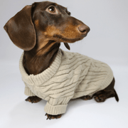 Dachshund Clothes Dog Sweater Cable Knit Wear - PIKAPIKA