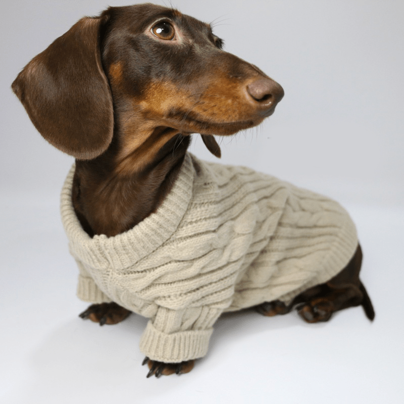 Dachshund Clothes Dog Sweater Cable Knit Wear - PIKAPIKA