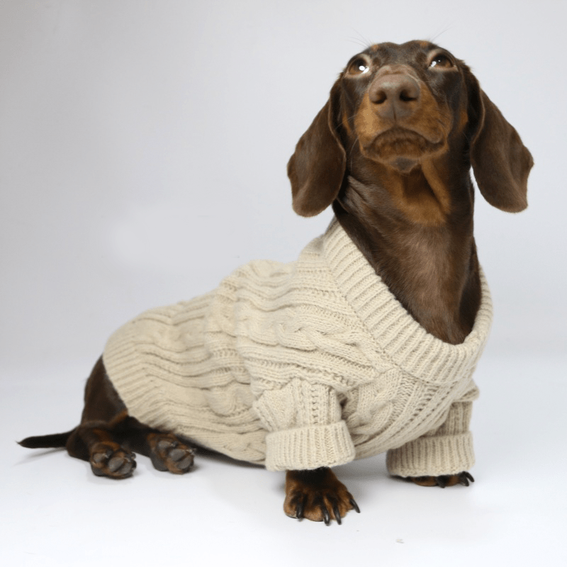 Dachshund Clothes Dog Sweater Cable Knit Wear - PIKAPIKA