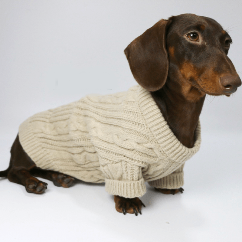Dachshund Clothes Dog Sweater Cable Knit Wear - PIKAPIKA