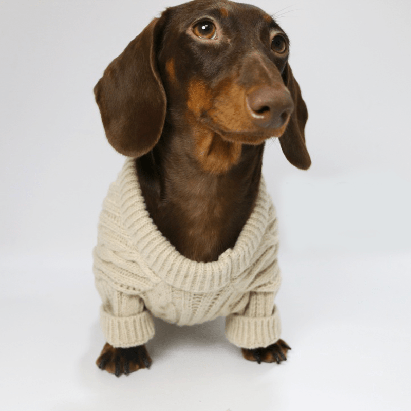 Dachshund Clothes Dog Sweater Cable Knit Wear - PIKAPIKA