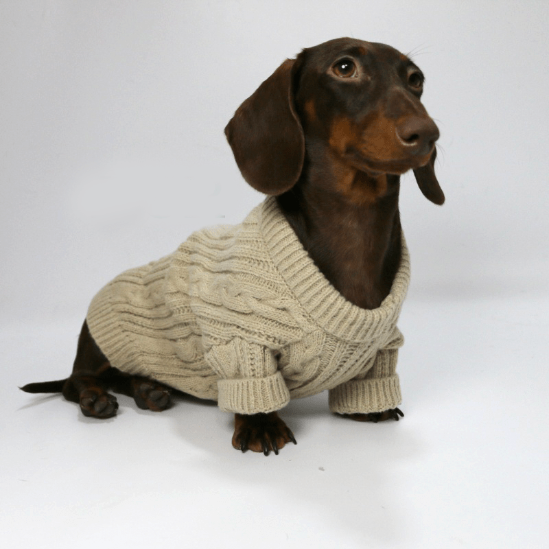Dachshund Clothes Dog Sweater Cable Knit Wear - PIKAPIKA