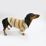Dachshund Clothes Dog Sweater Orange White Striped Knit Wear - PIKAPIKA