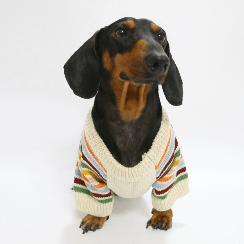 Dachshund Clothes Dog Sweater Orange White Striped Knit Wear - PIKAPIKA