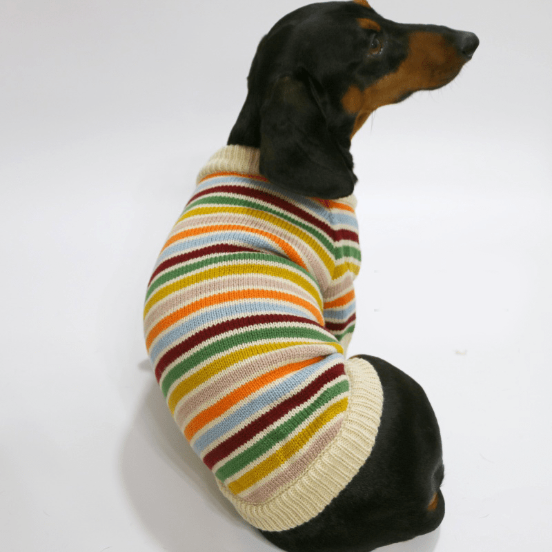 Dachshund Clothes Dog Sweater Orange White Striped Knit Wear - PIKAPIKA