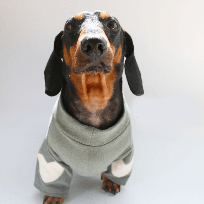 Dachshund Clothes Dog Sweatshirts Knit Love Heart Valentine's Day - PIKAPIKA