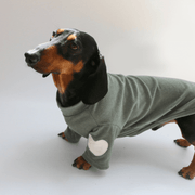 Dachshund Clothes Dog Sweatshirts Knit Love Heart Valentine's Day - PIKAPIKA