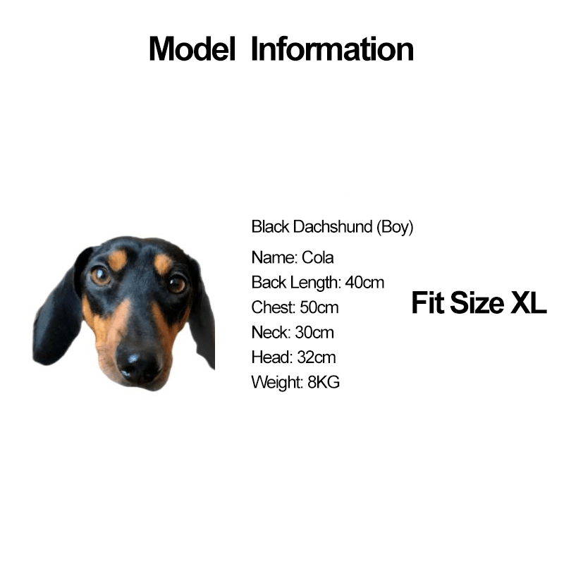 Dachshund Clothes Dog Sweatshirts Knit Love Heart Valentine's Day - PIKAPIKA