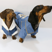 Dachshund Dog Clothes Denim Hoodie Jacket Button Shirt Coat - PIKAPIKA