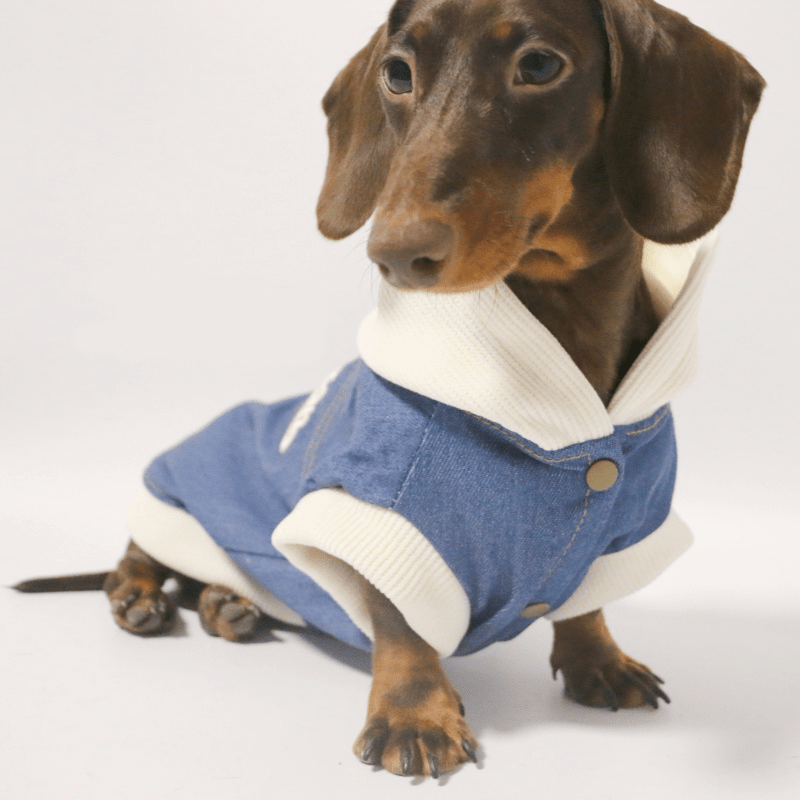 Dachshund Dog Clothes Denim Hoodie Jacket Button Shirt Coat - PIKAPIKA