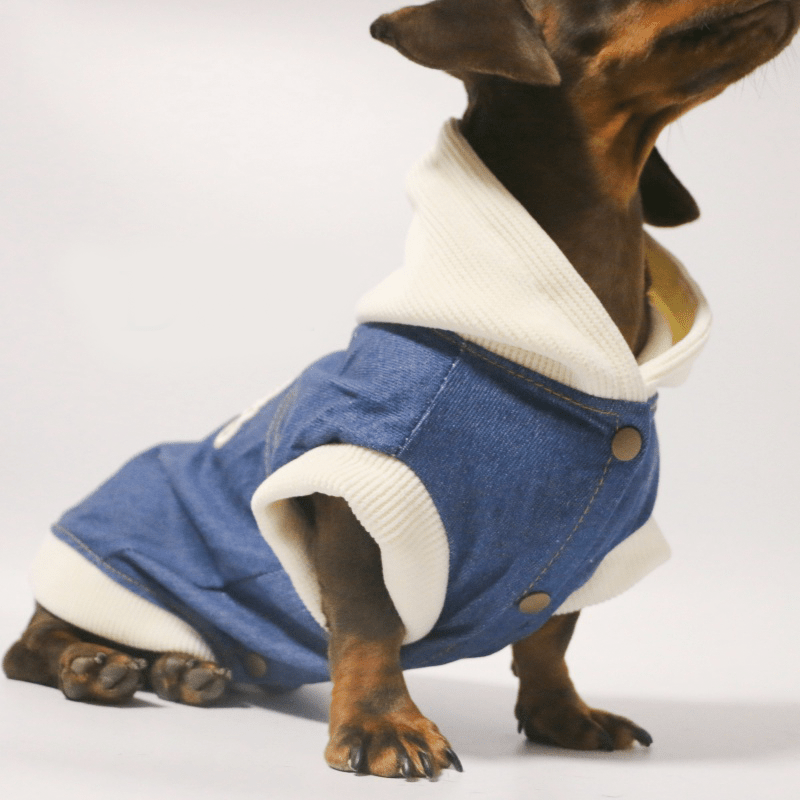 Dachshund Dog Clothes Denim Hoodie Jacket Button Shirt Coat - PIKAPIKA