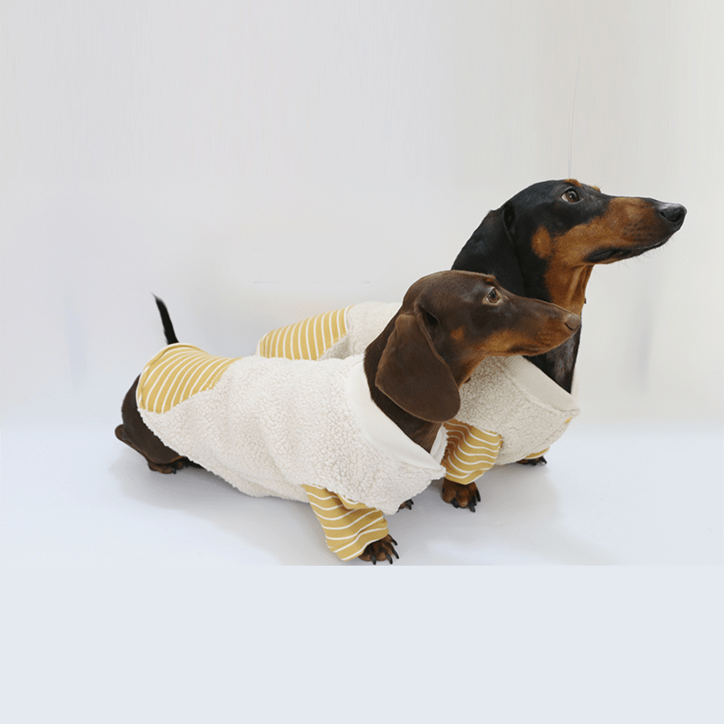 Dachshund Dog Clothes Fleece Button Coat Warm - PIKAPIKA