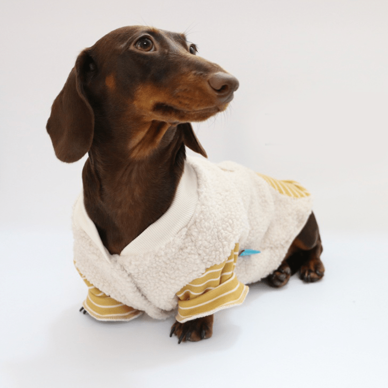 Dachshund Dog Clothes Fleece Button Coat Warm - PIKAPIKA