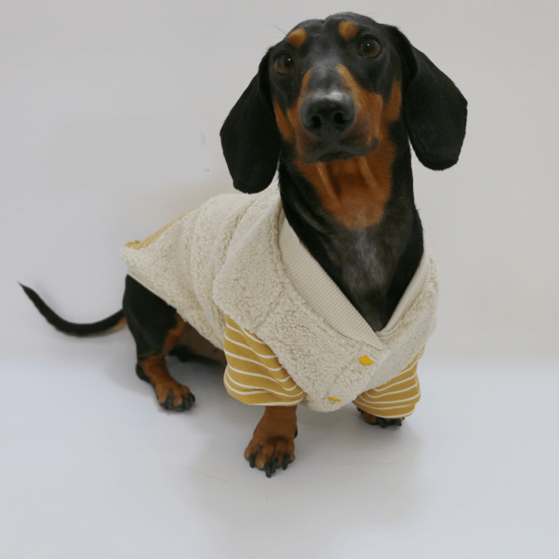 Dachshund Dog Clothes Fleece Button Coat Warm - PIKAPIKA