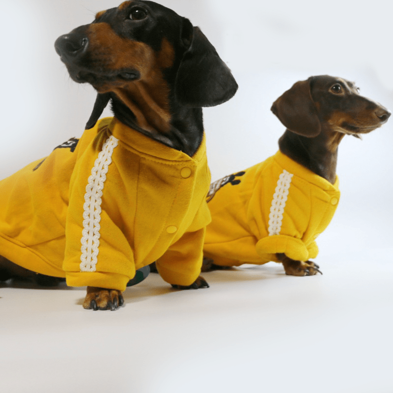 Dachshund Dog Clothes Fleece Button Jacket Warm Coat - PIKAPIKA