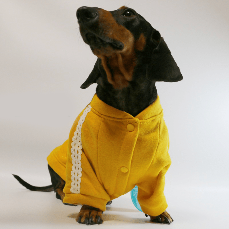 Dachshund Dog Clothes Fleece Button Jacket Warm Coat - PIKAPIKA
