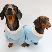 Dachshund Dog Clothes Fleece Hoodie Warm Sweatshirt Rainbow Chicago - PIKAPIKA