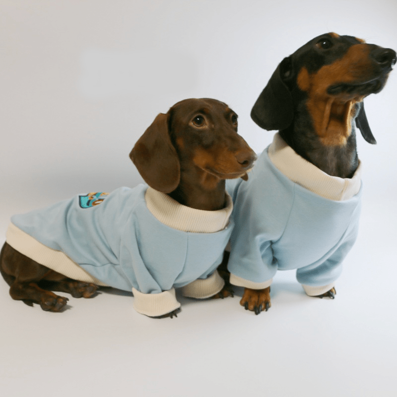 Dachshund Dog Clothes Fleece Hoodie Warm Sweatshirt Rainbow Chicago - PIKAPIKA
