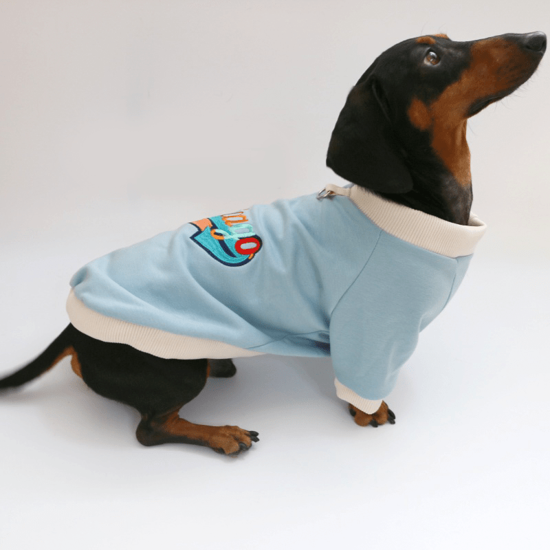 Dachshund Dog Clothes Fleece Hoodie Warm Sweatshirt Rainbow Chicago - PIKAPIKA