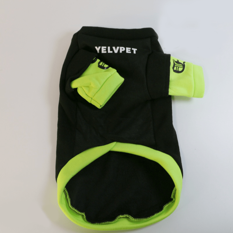 Dachshund Dog Clothes Hoodie Sweatshirt Shiny Green Sport - PIKAPIKA