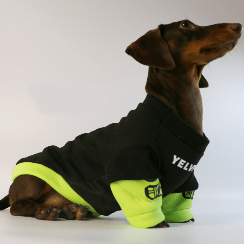 Dachshund Dog Clothes Hoodie Sweatshirt Shiny Green Sport - PIKAPIKA