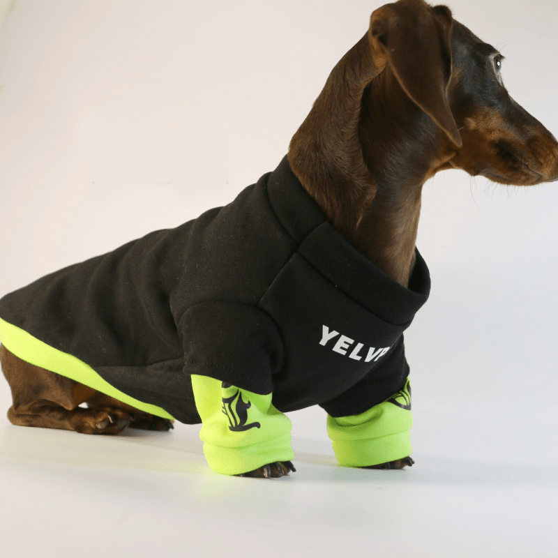 Dachshund Dog Clothes Hoodie Sweatshirt Shiny Green Sport - PIKAPIKA