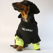 Dachshund Dog Clothes Hoodie Sweatshirt Shiny Green Sport - PIKAPIKA