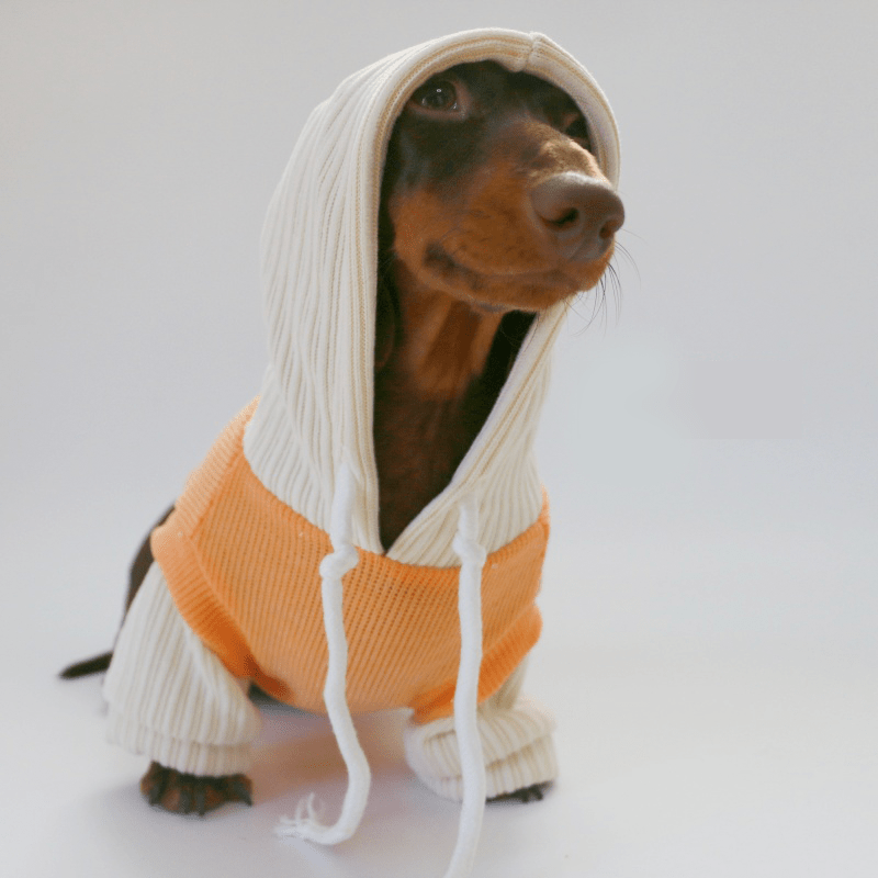Dachshund Dog Clothes Knit Hoodie Winter Orange - PIKAPIKA