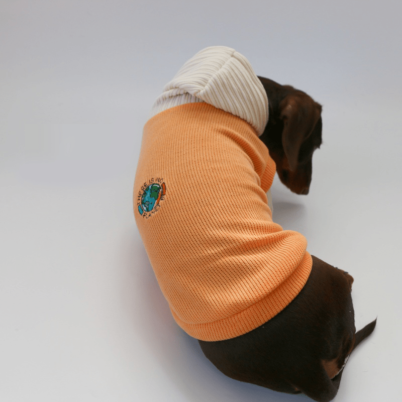 Dachshund Dog Clothes Knit Hoodie Winter Orange - PIKAPIKA