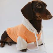 Dachshund Dog Clothes Knit Hoodie Winter Orange - PIKAPIKA