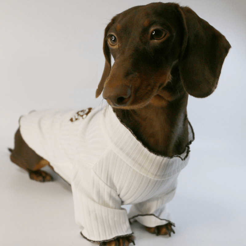 Dachshund Dog Clothes Under Shirts Knit Soft Top - PIKAPIKA