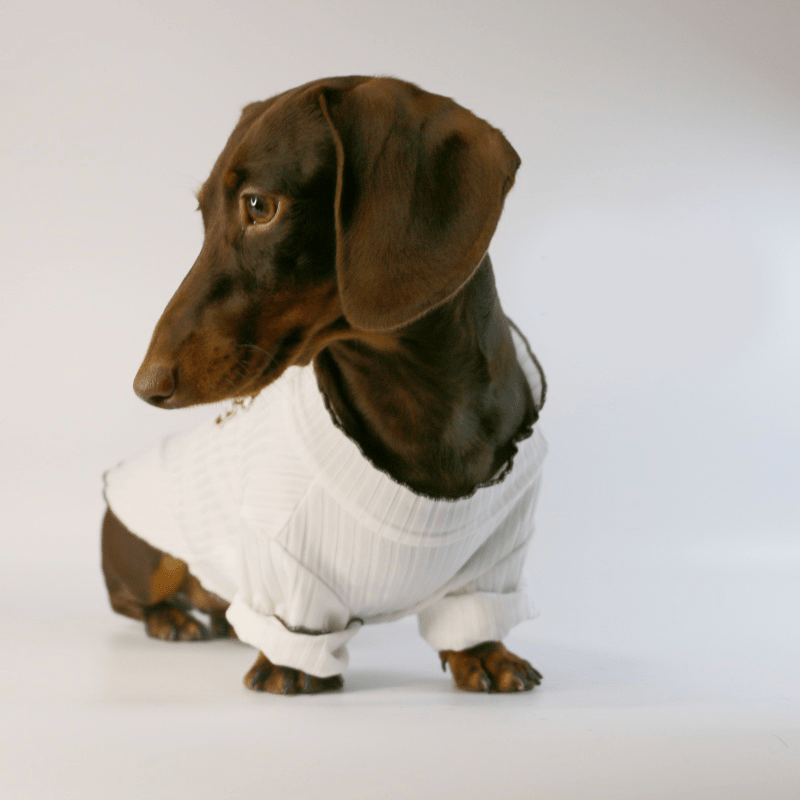Dachshund Dog Clothes Under Shirts Knit Soft Top - PIKAPIKA