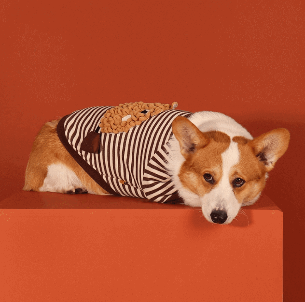 Cozy Fleece Pet Sweatshirt – Warm Winter Dog Hoodie